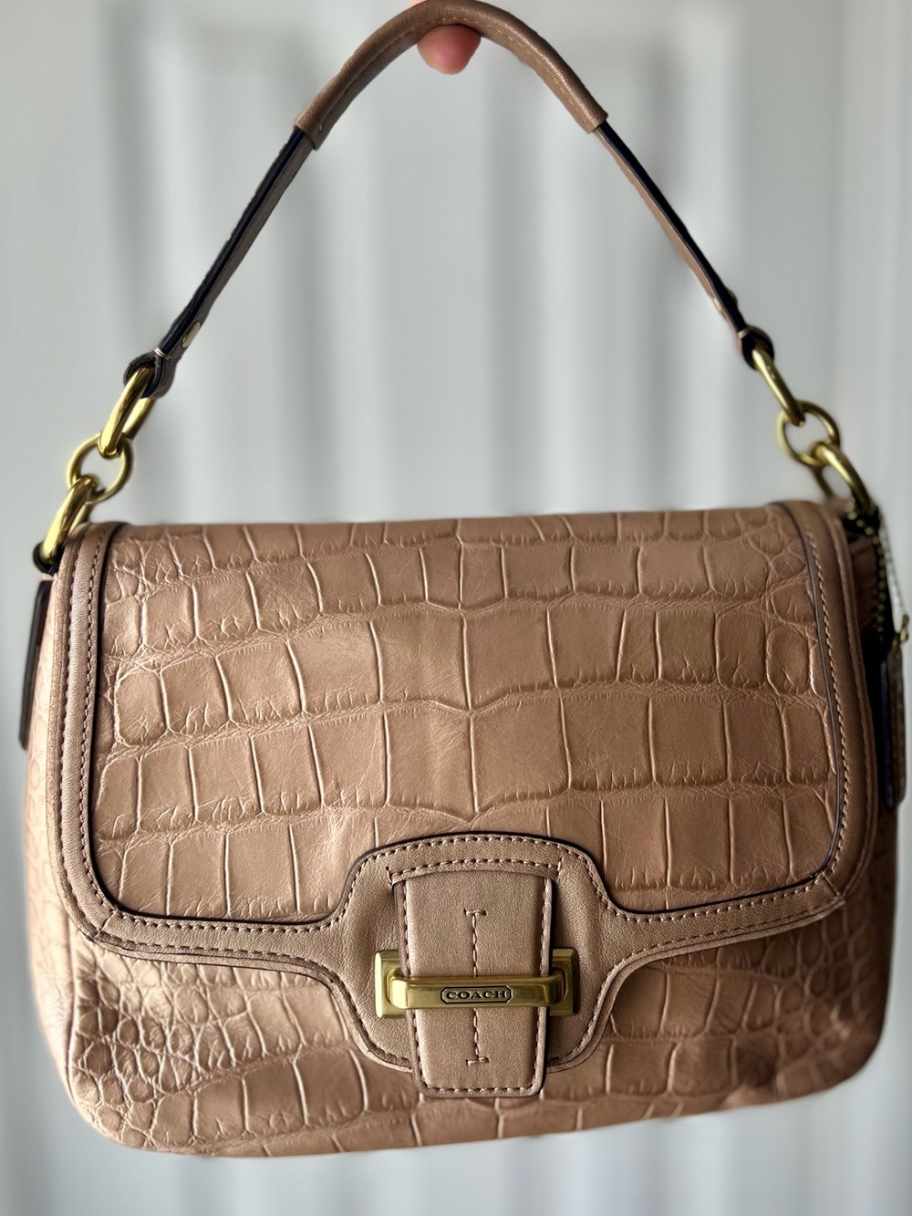 Coach Taylor Embossed Leather Bag in Sand Taupe - Picture 2 of 14